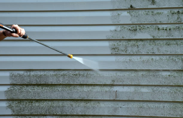 Best Roof Power Washing Services  in Brandon, SD